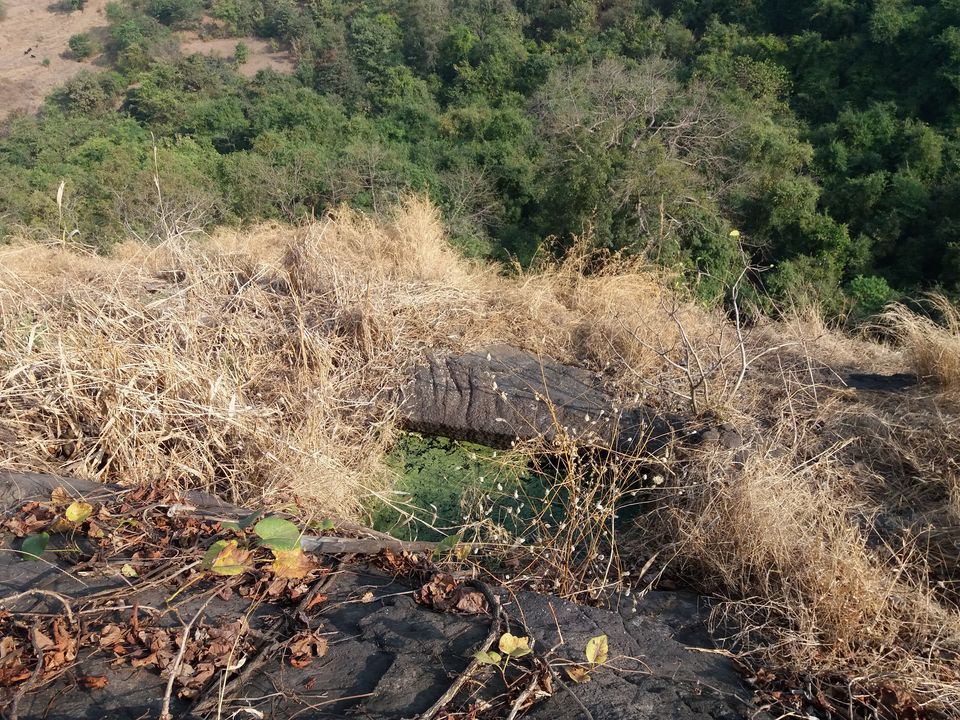 Photo of Mangad Fort - Has a Secret Gate 32/41 by Gunjan Deshmukh