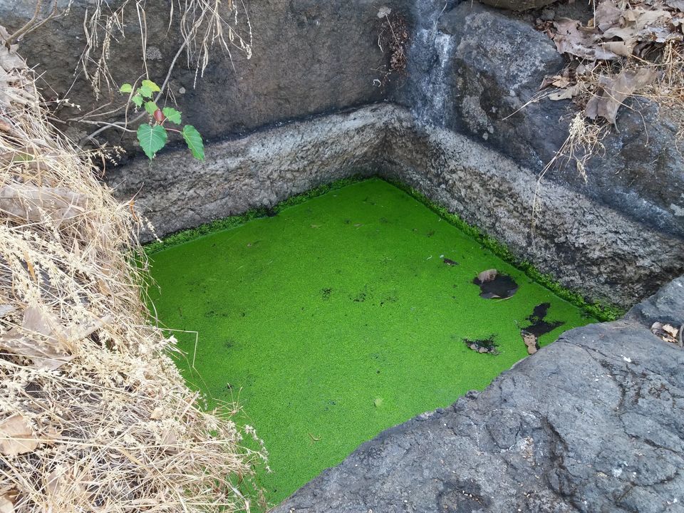 Photo of Mangad Fort - Has a Secret Gate 34/41 by Gunjan Deshmukh
