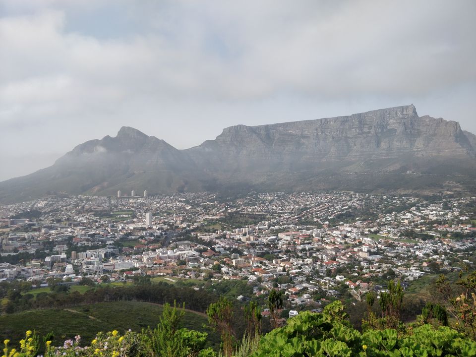 Photo of Table Mountain, Table Mountain (Nature Reserve), Cape Town, South Africa by Rohini Banerjee