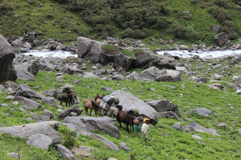Photo of Hampta, Lahaul And Spiti, Himachal Pradesh, India by Mehar Babu