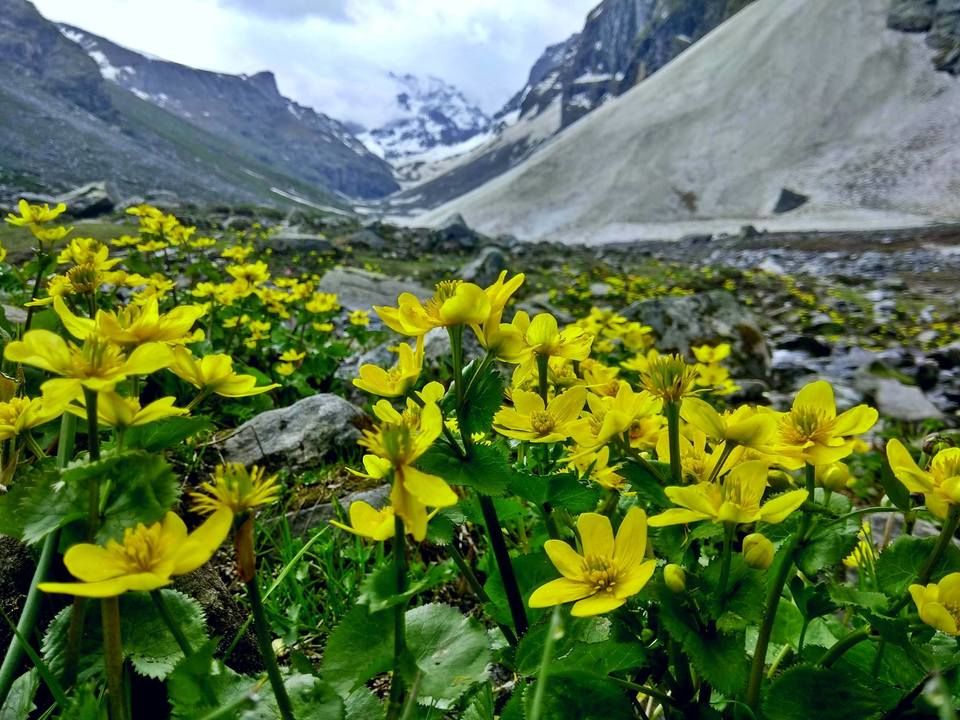 Photo of Hampta, Lahaul And Spiti, Himachal Pradesh, India by Mehar Babu