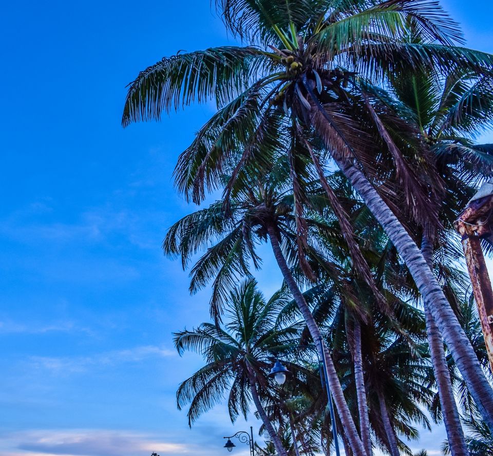 Photo of Here's why you should ditch Goa and VISIT PONDICHERRY 12/13 by Aditya Agarwal