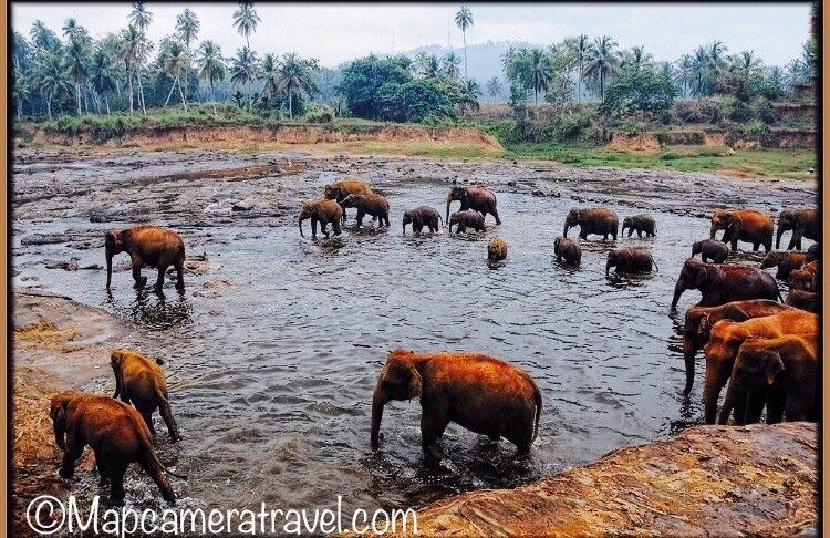 Photo of Kandy, Central Province, Sri Lanka by Krupa