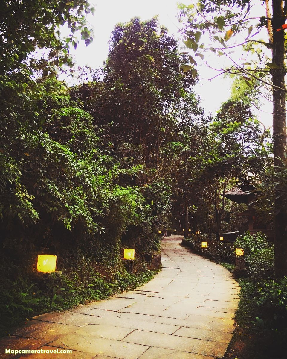 Photo of Discover COORG TRAILS with us - An Unconventional Experience 7/25 by Map Camera Travel