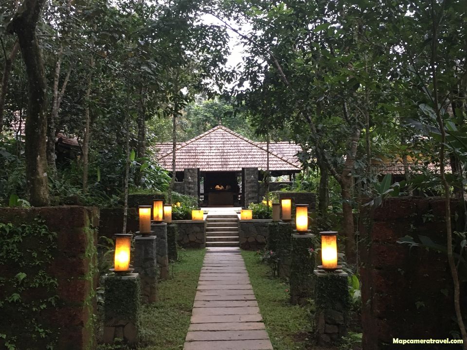 Photo of Discover COORG TRAILS with us - An Unconventional Experience 8/25 by Map Camera Travel