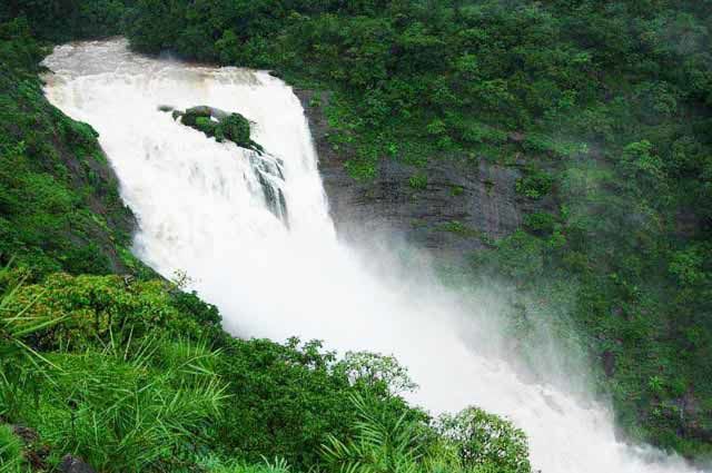 Photo of Discover COORG TRAILS with us - An Unconventional Experience 12/25 by Map Camera Travel