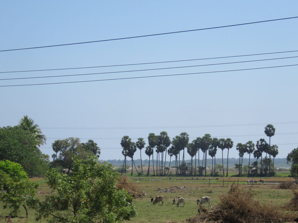Photo of Peace In Pondi #pondiphotos by Vadhish Parikh