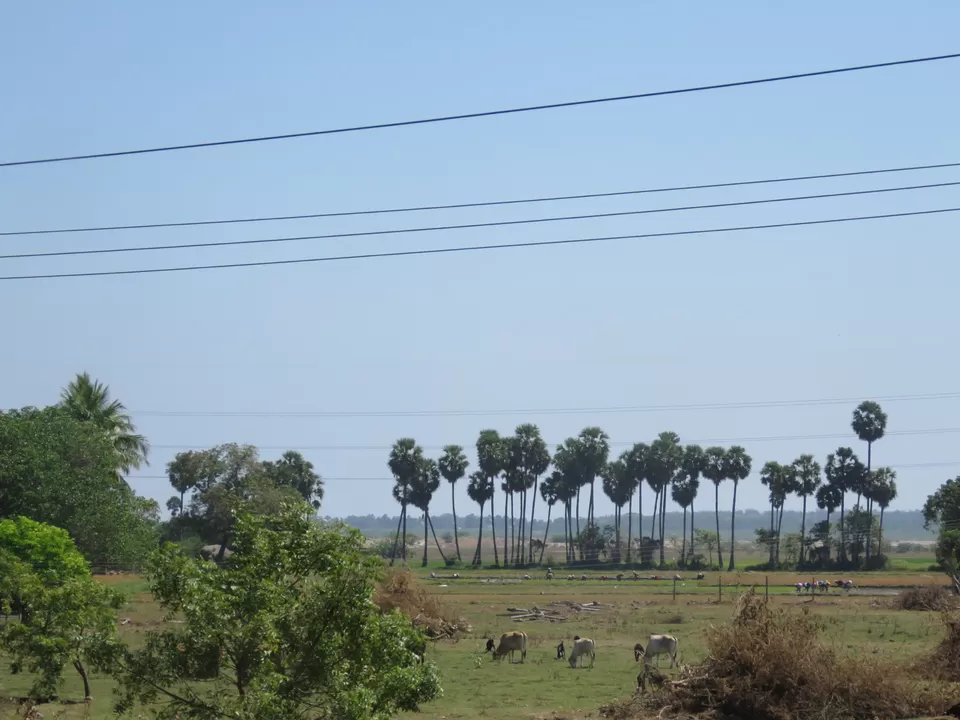 Photo of Peace In Pondi #pondiphotos by Vadhish Parikh