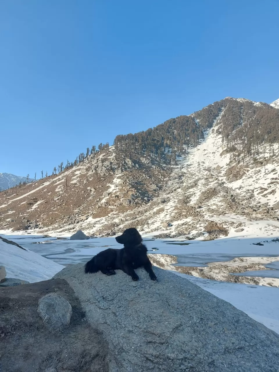 Photo of Kareri Lake by Roopali Katoch