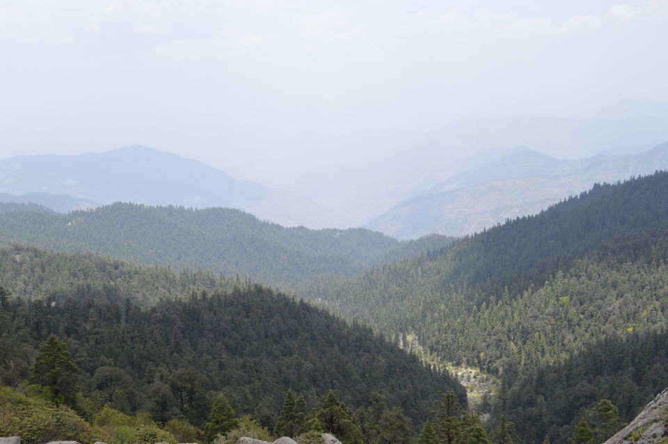 Photo of CHURDHAR (SHIRGUL MAHARAJ KI JAI) 7/13 by Roopali Katoch