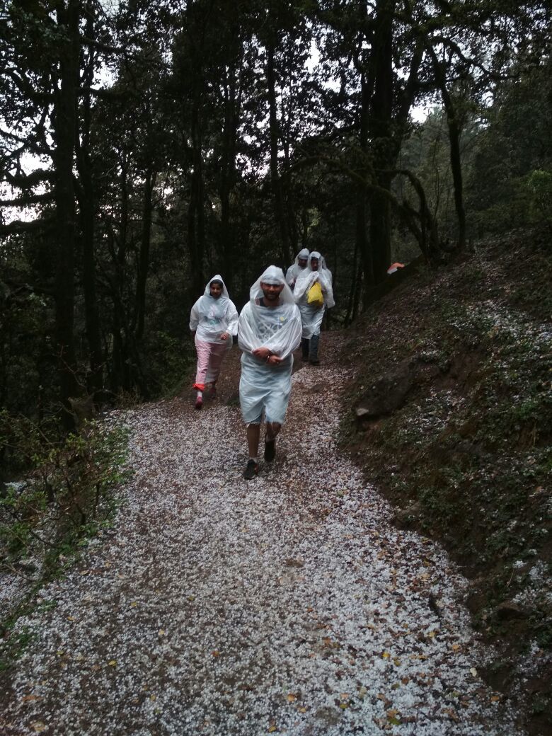 Photo of CHURDHAR (SHIRGUL MAHARAJ KI JAI) 5/13 by Roopali Katoch