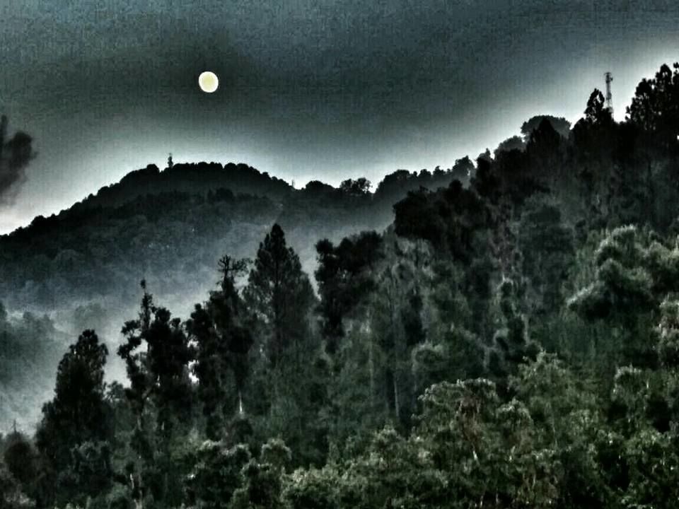 Photo of Khajjiar, Himachal Pradesh, India by Jitin James Raj