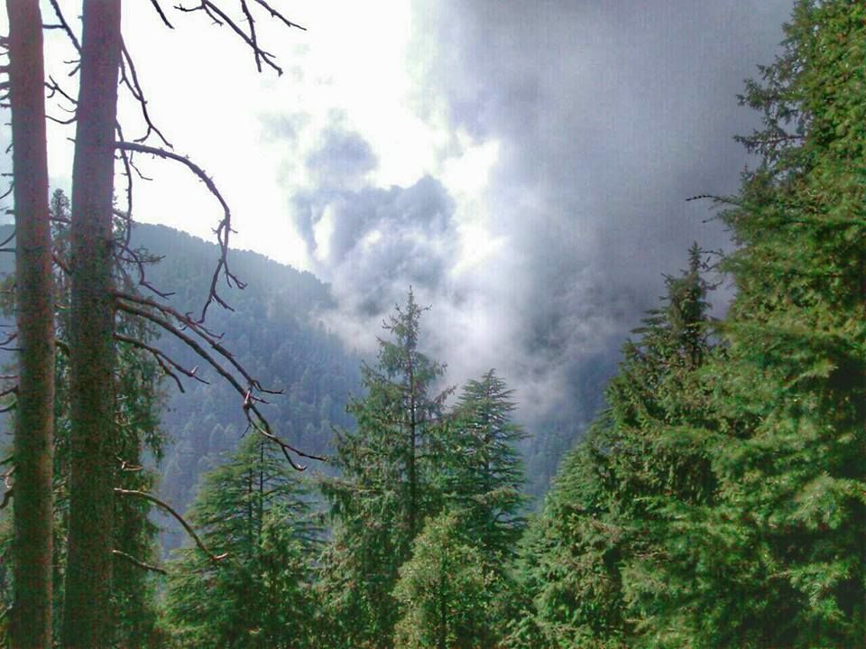 Photo of Khajjiar, Himachal Pradesh, India by Jitin James Raj