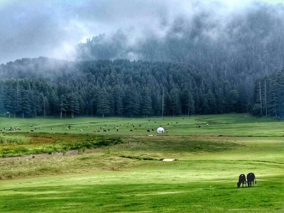 Photo of Khajjiar - The Mini Switzerland of India.! by Jitin James Raj