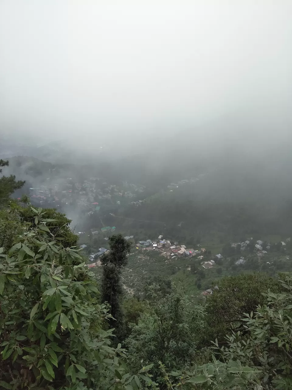 Photo of Dharamsala, Mcleodganj, Triund- an unforgettable trip with least expense by Aniket Bajoria