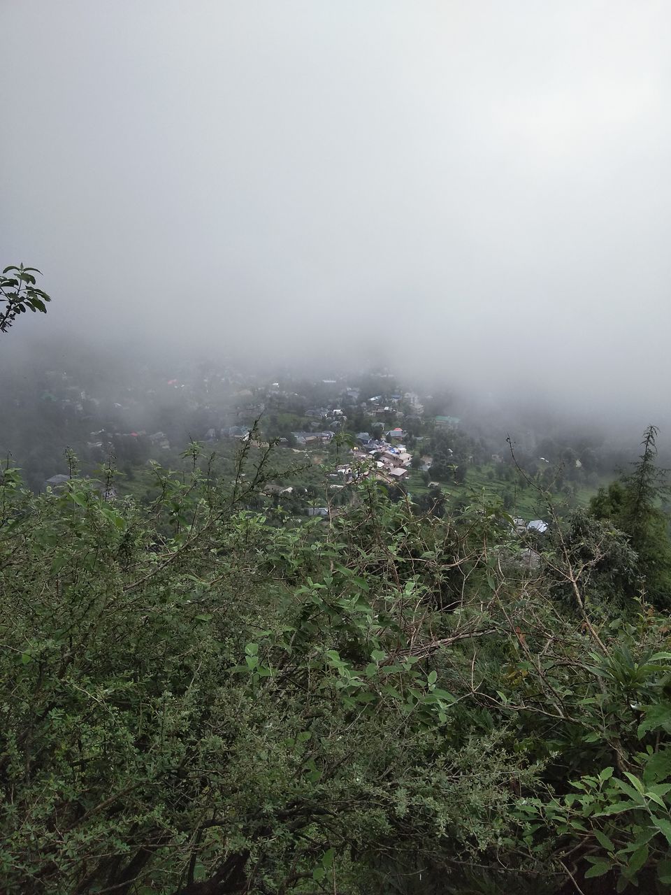 Photo of Dharamsala, Mcleodganj, Triund- an unforgettable trip with least expense by Aniket Bajoria