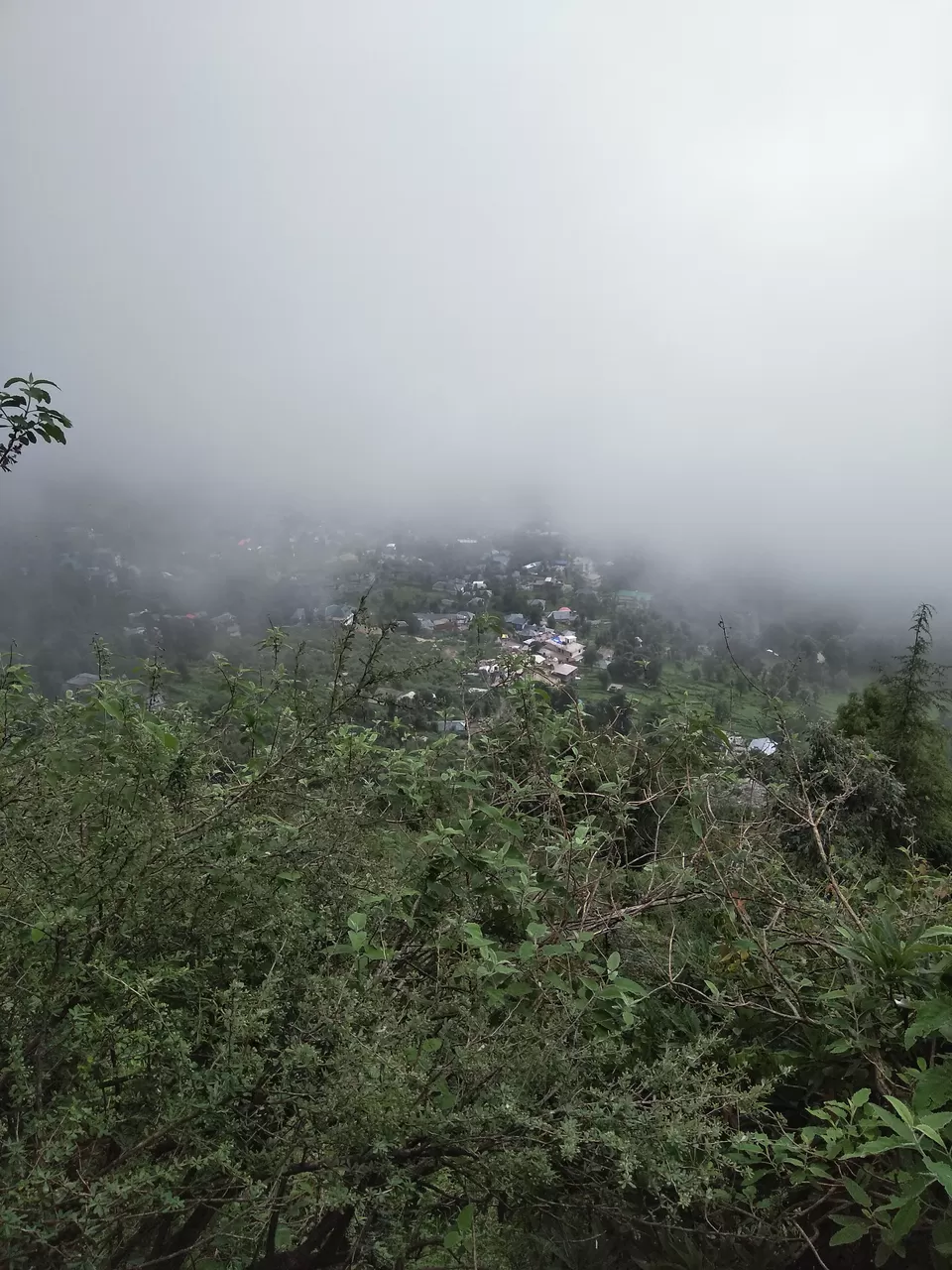 Photo of Dharamsala, Mcleodganj, Triund- an unforgettable trip with least expense by Aniket Bajoria