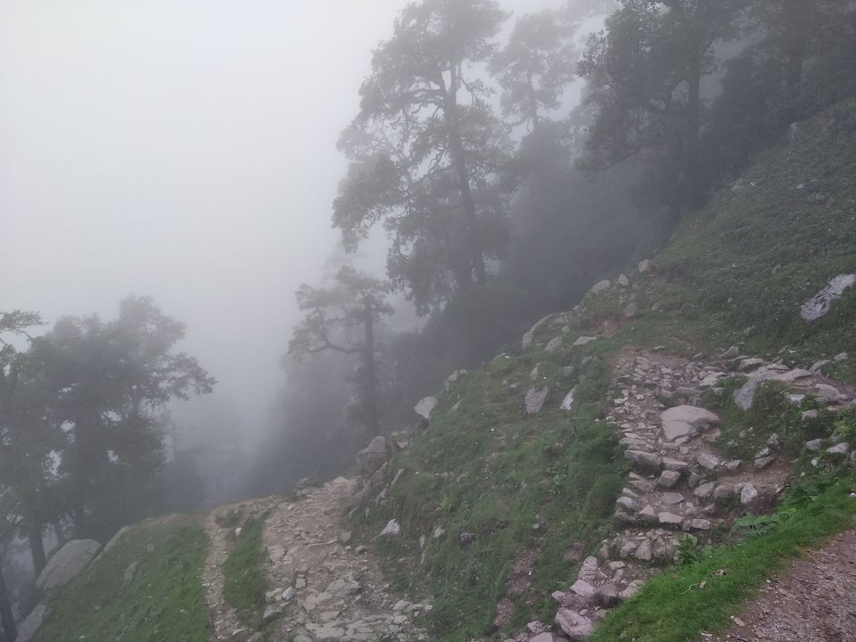Photo of Dharamsala, Mcleodganj, Triund- an unforgettable trip with least expense by Aniket Bajoria