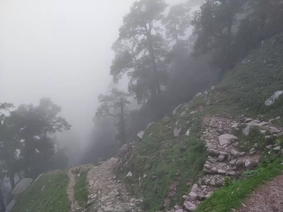Photo of Dharamsala, Mcleodganj, Triund- an unforgettable trip with least expense by Aniket Bajoria