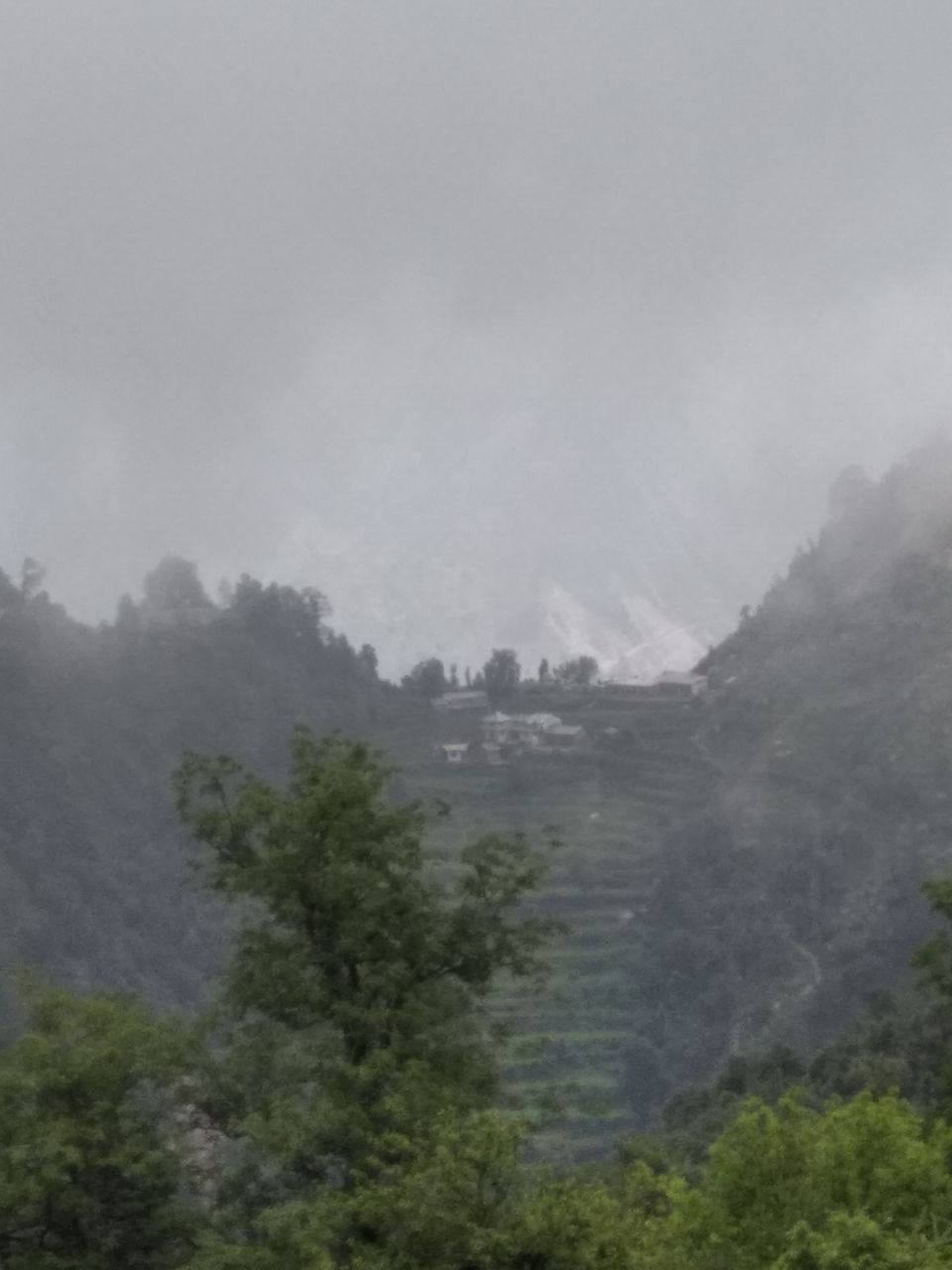 Photo of Dharamsala, Mcleodganj, Triund- an unforgettable trip with least expense by Aniket Bajoria