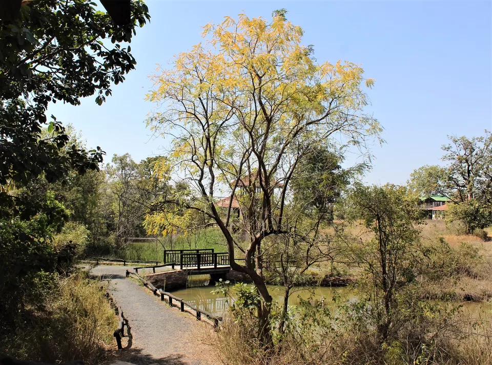 Photo of Denwa Backwater Escape - Satpura National Park, Sarangpur, Madhya Pradesh, India by Oindrila Soni