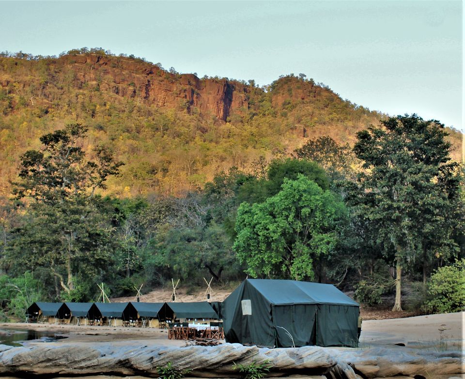 Photo of This Magical Forest Lodge In The Heart Of India Is The Wilderness Hideaway You've Been Looking For by Oindrila Soni