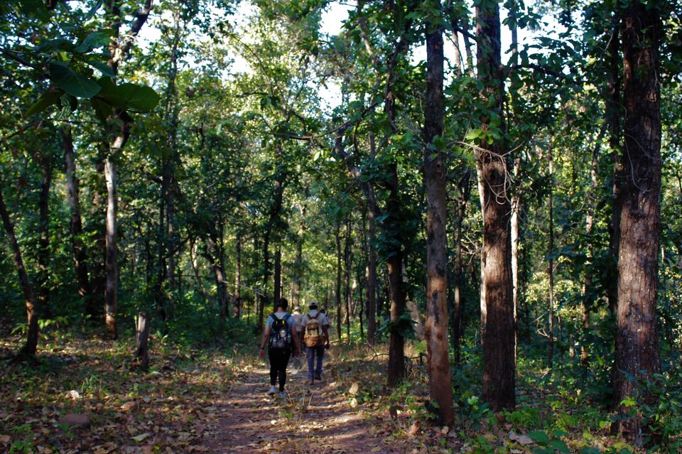 Photo of This 3-Day Hike Through The Middle Of A Tiger Reserve Will Change The Way You Experience Wildlife by Oindrila Soni