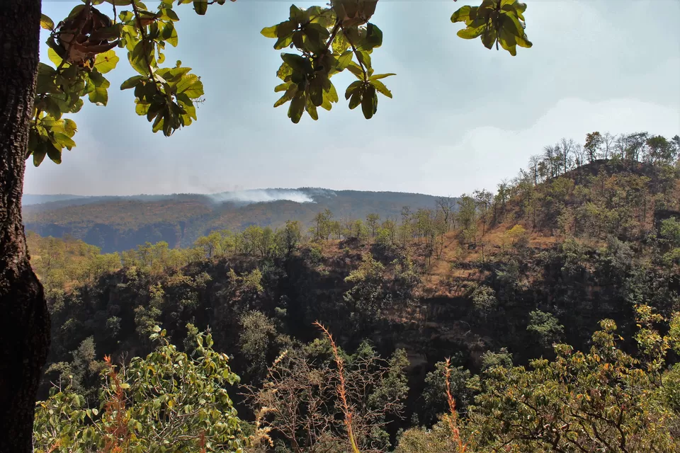 Photo of Pipariya, Madhya Pradesh, India by Oindrila Soni