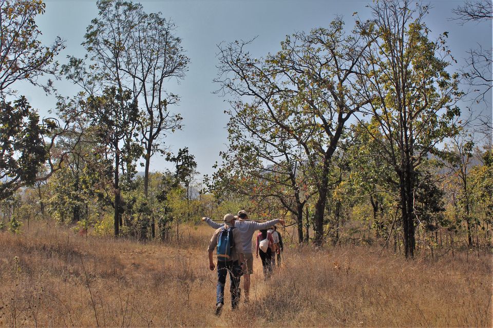 Photo of This 3-Day Hike Through The Middle Of A Tiger Reserve Will Change The Way You Experience Wildlife by Oindrila De