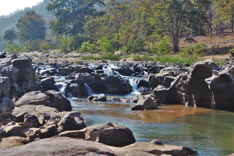 Photo of This 3-Day Hike Through The Middle Of A Tiger Reserve Will Change The Way You Experience Wildlife by Oindrila De