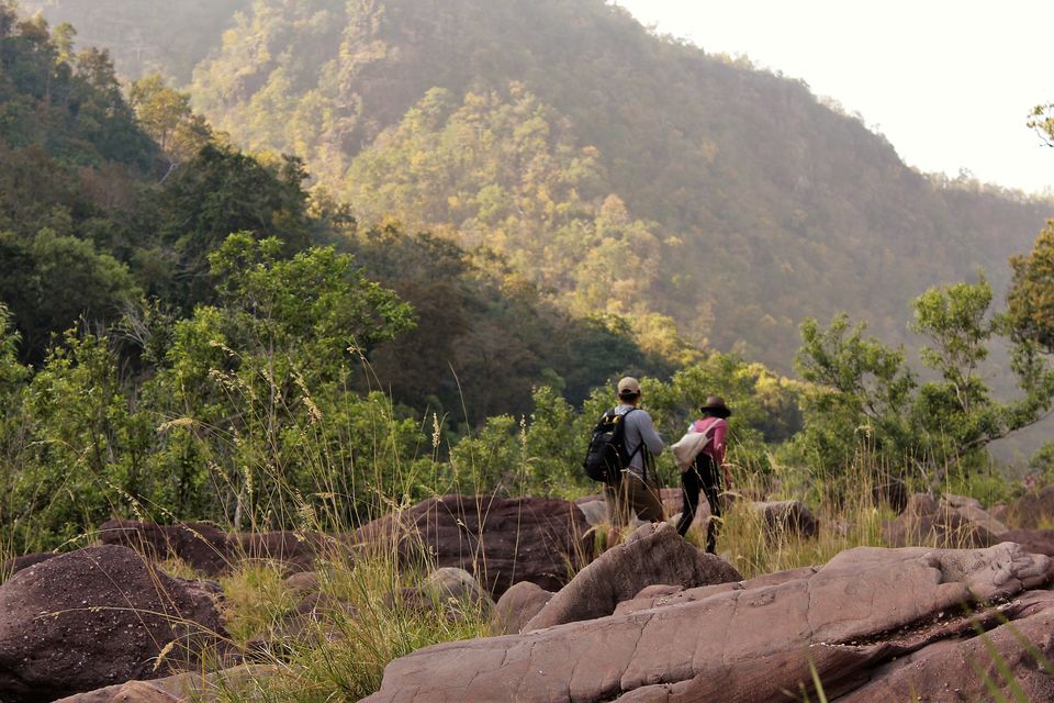 Photo of This 3-Day Hike Through The Middle Of A Tiger Reserve Will Change The Way You Experience Wildlife by Oindrila De