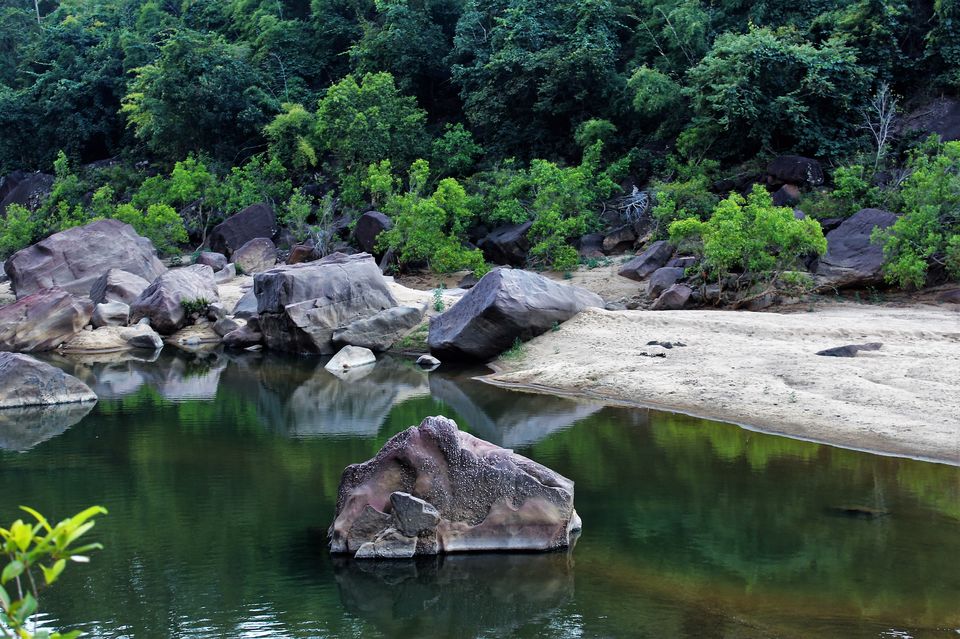 Photo of This 3-Day Hike Through The Middle Of A Tiger Reserve Will Change The Way You Experience Wildlife by Oindrila De