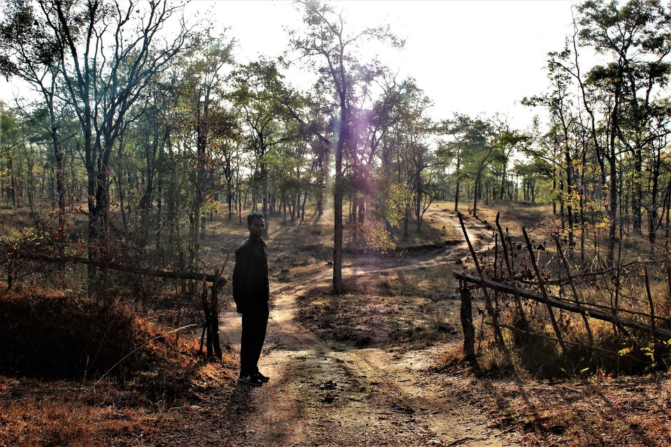 Photo of This 3-Day Hike Through The Middle Of A Tiger Reserve Will Change The Way You Experience Wildlife by Oindrila De