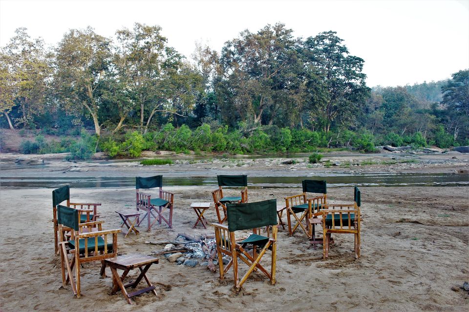 Photo of This 3-Day Hike Through The Middle Of A Tiger Reserve Will Change The Way You Experience Wildlife by Oindrila De