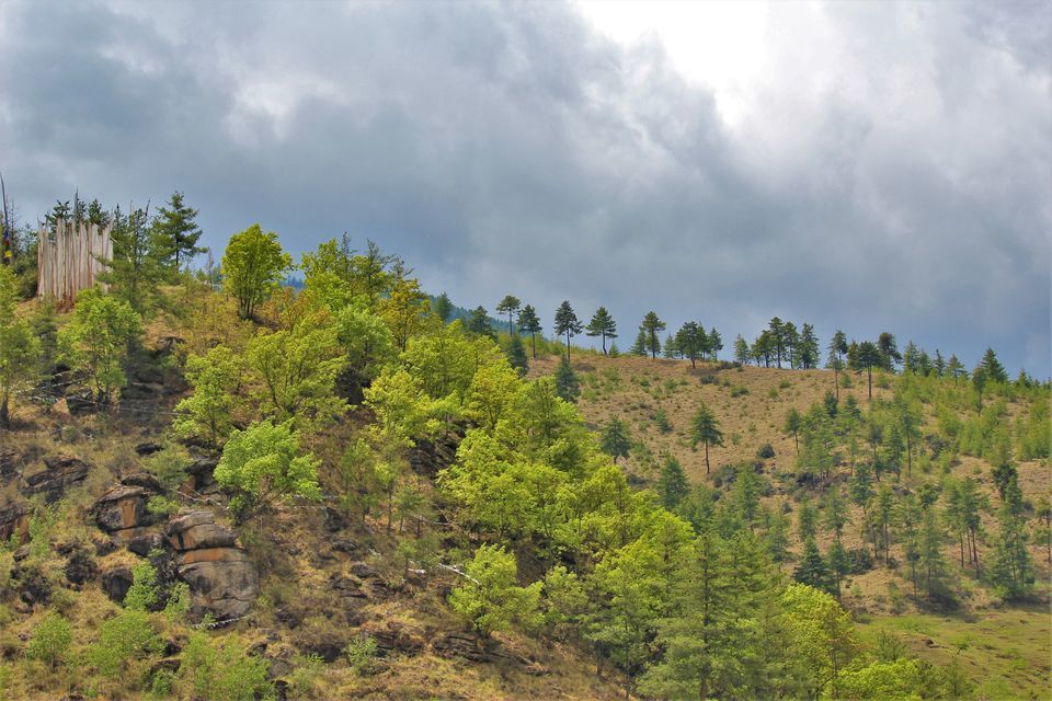 Photo of Discover Authentic Bhutanese Food In This Little Village Nobody Knows About by Oindrila Soni