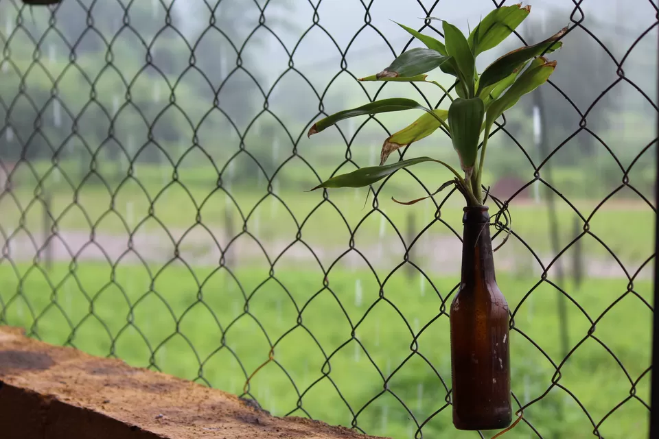 Photo of Malshej Ghat, Pune, Maharashtra, India by Oindrila Soni