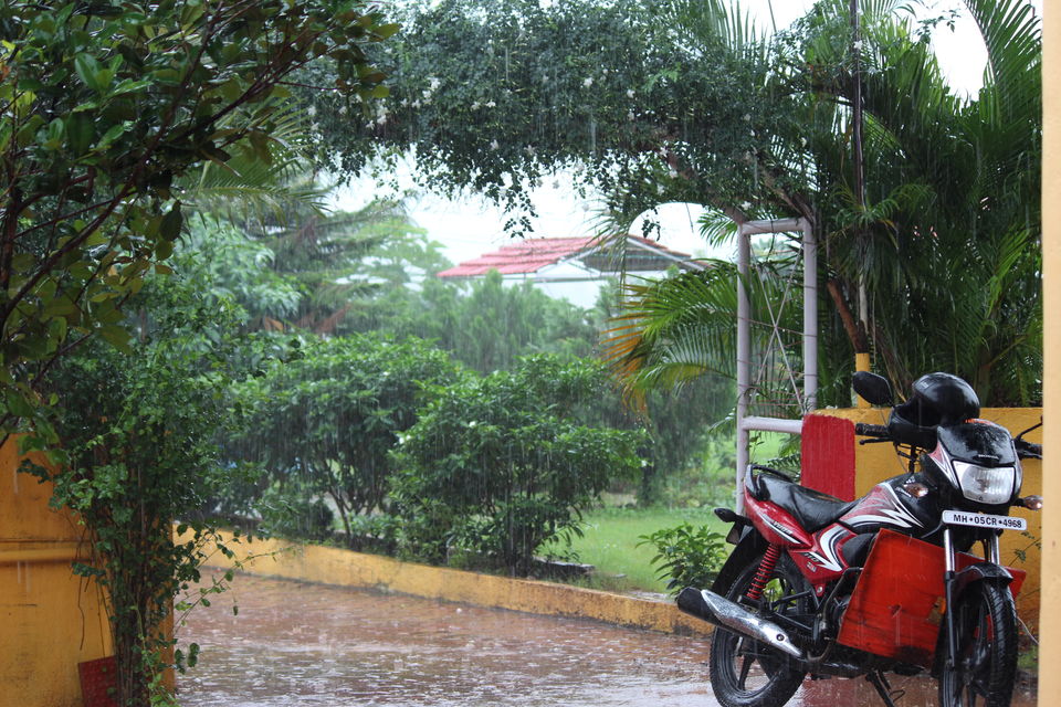 Photo of ...Because Malshej Ghat Looks Ravishing In The Rains by Oindrila Soni