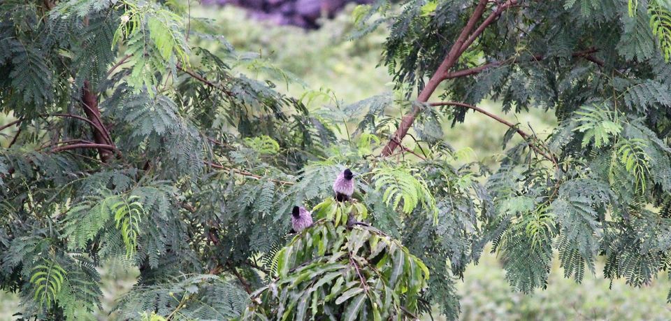 Photo of ...Because Malshej Ghat Looks Ravishing In The Rains by Oindrila Soni