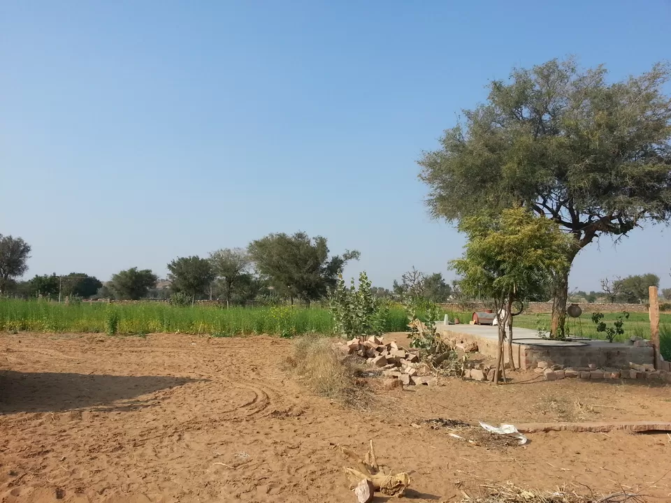 Photo of Osiyan, Rajasthan, India by Oindrila Soni