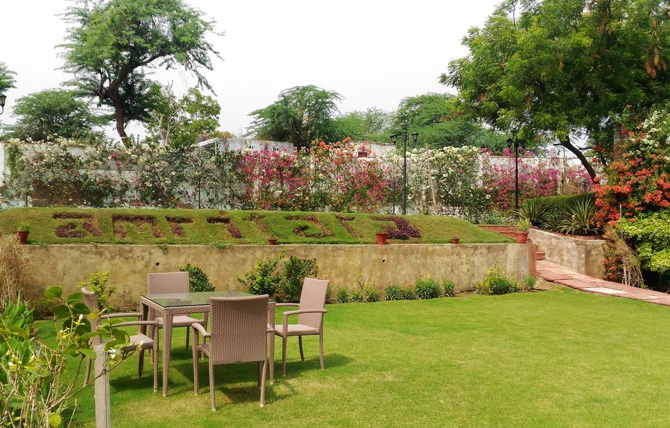 Photo of Wake Up Like A Princess To The Peacock's Call At This Charming Rajasthani Palace by Oindrila Soni