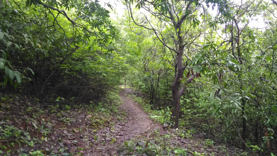 Photo of Accessible From Mumbai And Pune, This Hiking Getaway Is Perfect For A Digital Detox by Oindrila Soni