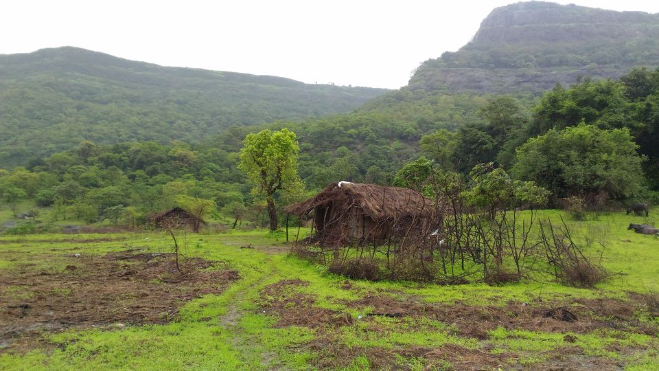 Photo of Accessible From Mumbai And Pune, This Hiking Getaway Is Perfect For A Digital Detox by Oindrila Soni