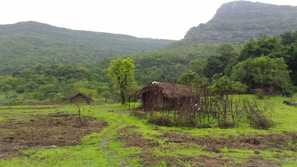 Photo of Accessible From Mumbai And Pune, This Hiking Getaway Is Perfect For A Digital Detox by Oindrila Soni