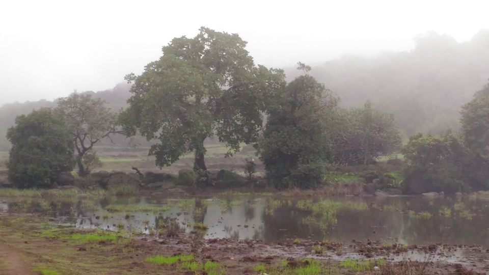 Photo of Accessible From Mumbai And Pune, This Hiking Getaway Is Perfect For A Digital Detox by Oindrila Soni