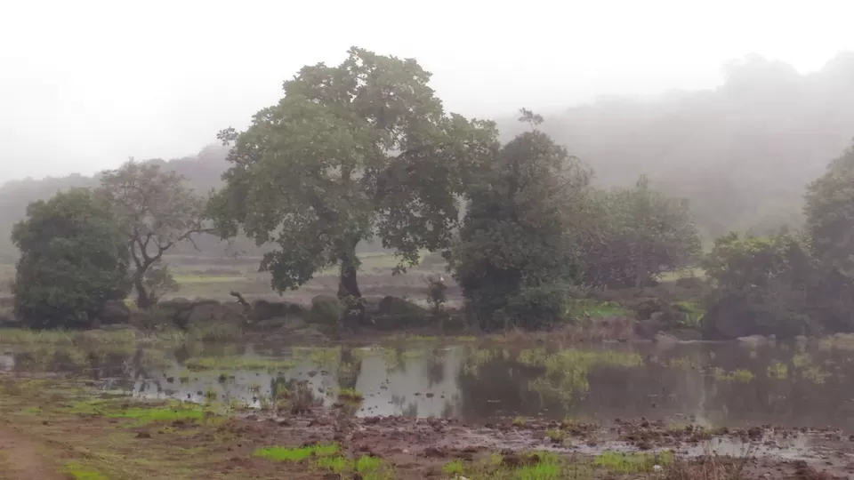 Photo of Accessible From Mumbai And Pune, This Hiking Getaway Is Perfect For A Digital Detox by Oindrila Soni