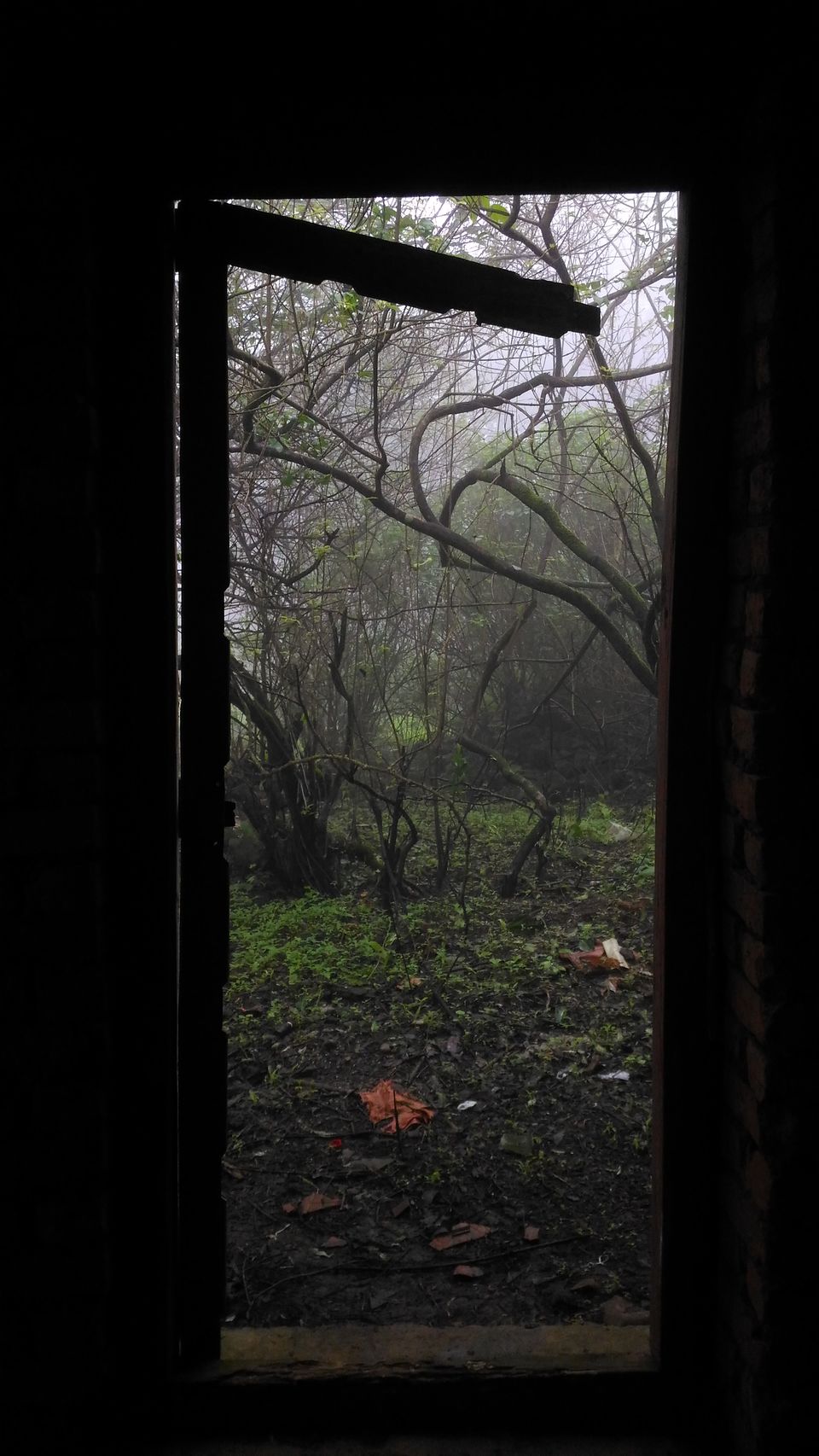 Photo of Accessible From Mumbai And Pune, This Hiking Getaway Is Perfect For A Digital Detox by Oindrila Soni