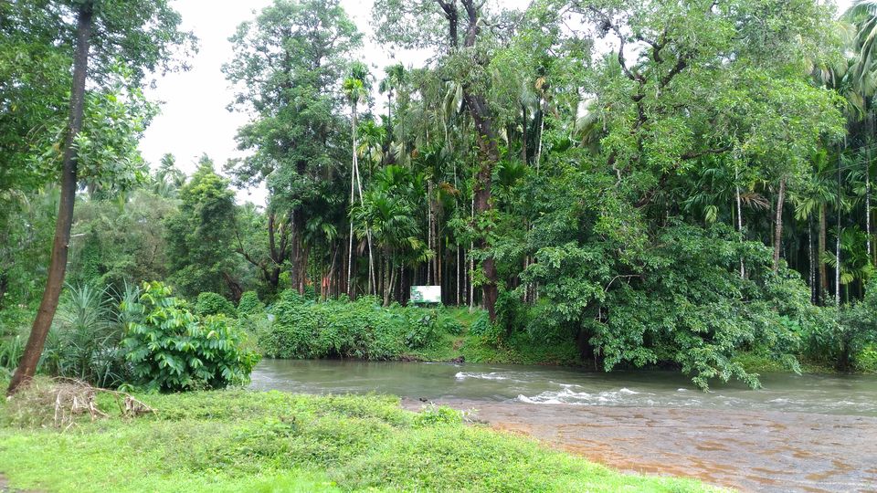 Photo of This 20,000-Year Old Wonder Is The New Reason To Head To Goa by Oindrila Soni