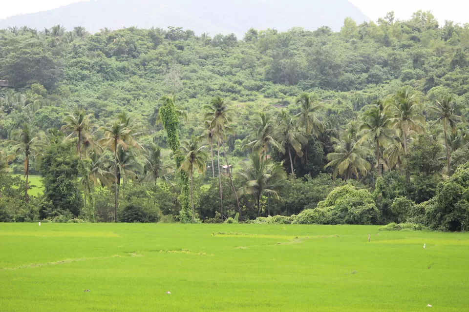 Photo of This 20,000-Year Old Wonder Is The New Reason To Head To Goa by Oindrila Soni