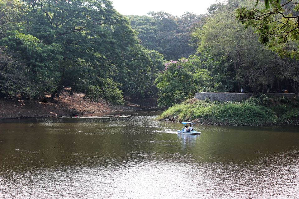 Photo of Spend A Day Camping Inside A National Park In The Heart Of Mumbai by Oindrila Soni
