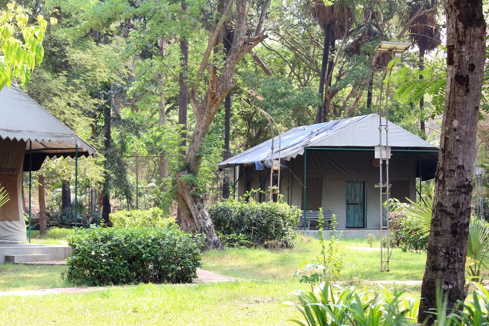 Photo of Spend A Day Camping Inside A National Park In The Heart Of Mumbai by Oindrila De